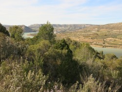 Ruta BTT “Vuelta Mequinenza”